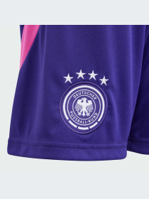 Шорты спортивные Adidas модель IP8162 Фото