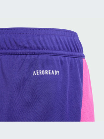 Шорты спортивные Adidas модель IP8162 Фото