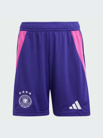 Шорты спортивные Adidas модель IP8162 Фото