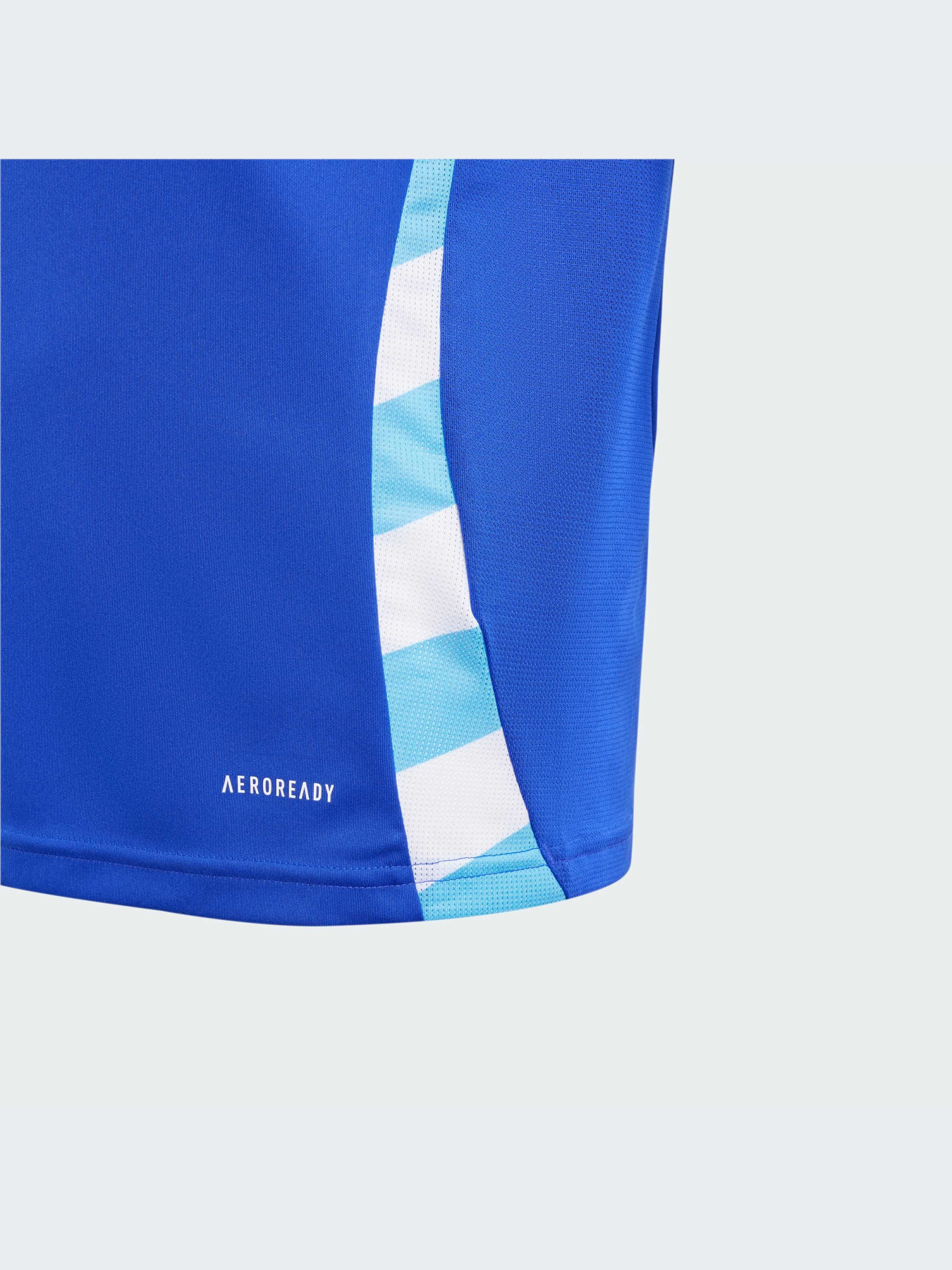 Спортивна футболка Adidas модель IP8385 Фото