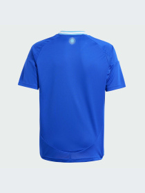 Спортивна футболка Adidas модель IP8385 Фото