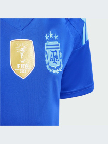 Спортивна футболка Adidas модель IP8385 Фото