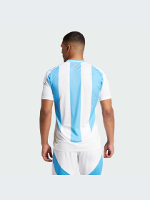 Спортивная футболка Adidas модель IP8409 Фото