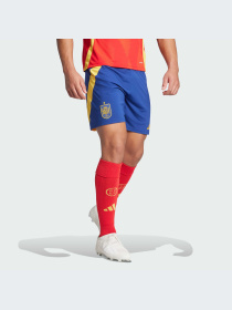 Спортивні шорти Adidas модель IW8150 Фото