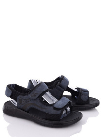 Сандалии Paliament модель HAN2717-1 Фото