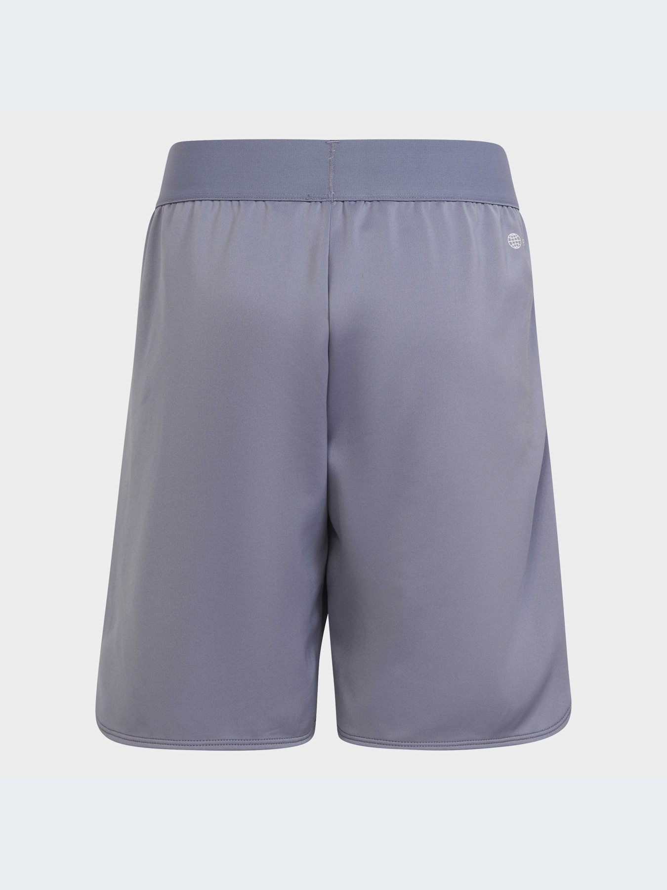 Шорты спортивные Adidas модель IC5398 Фото