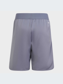 Шорты спортивные Adidas модель IC5398 Фото