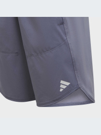 Шорты спортивные Adidas модель IC5398 Фото