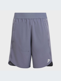 Шорты спортивные Adidas модель IC5398 Фото