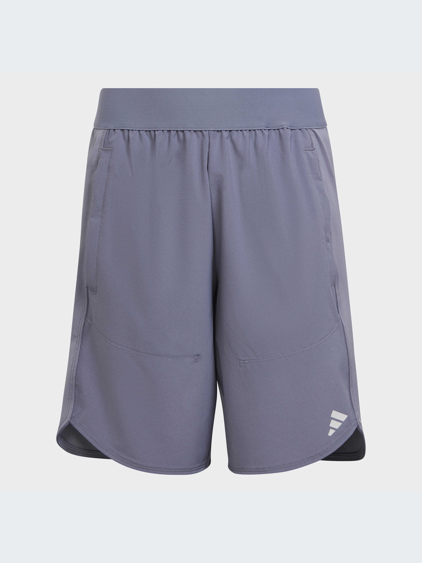 Спортивні шорти Adidas модель IC5398 Фото