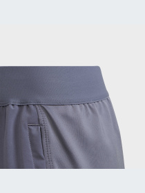 Спортивні шорти Adidas модель IC5398 Фото