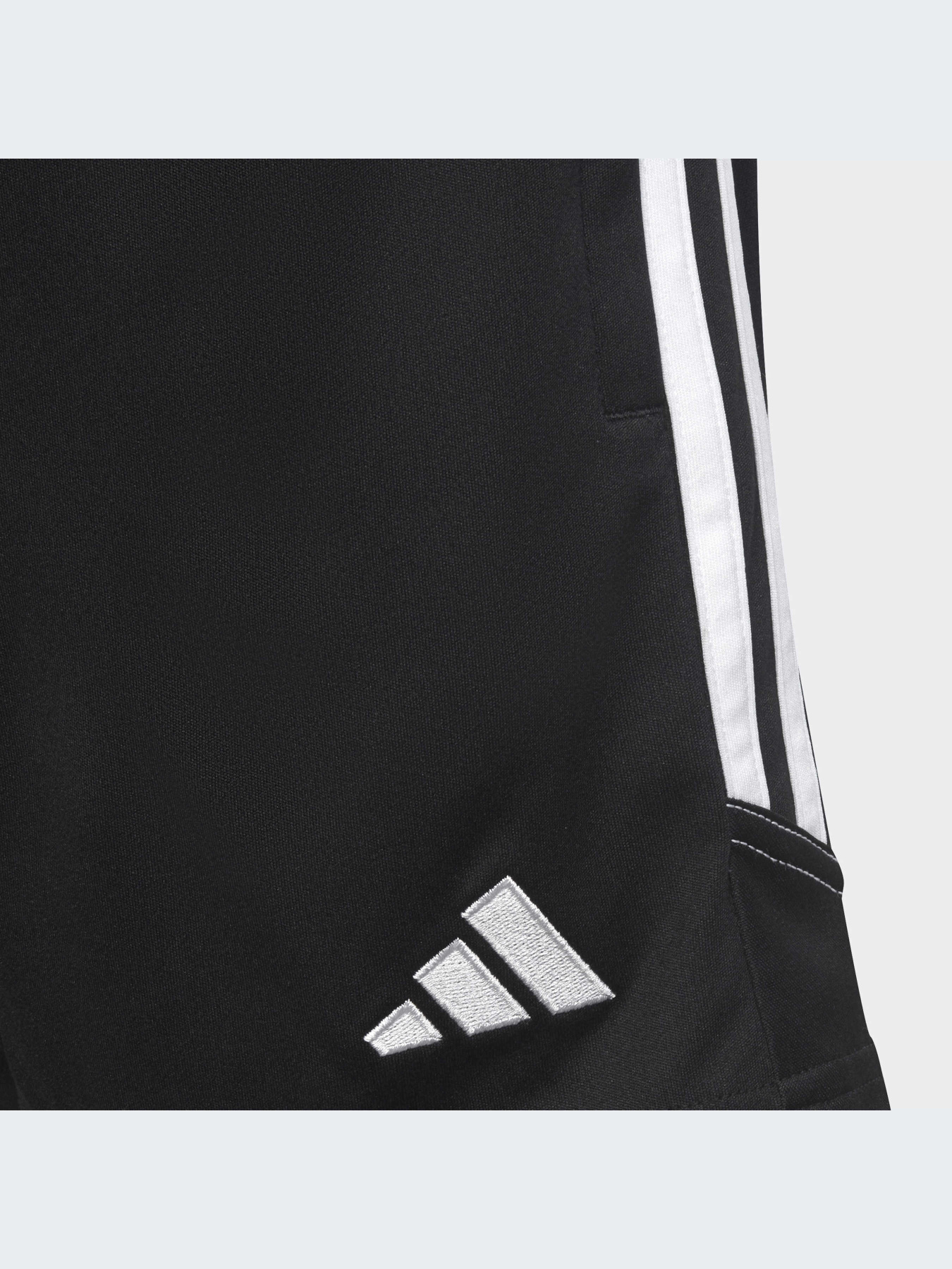 Шорты спортивные Adidas Tiro модель HS3623 Фото