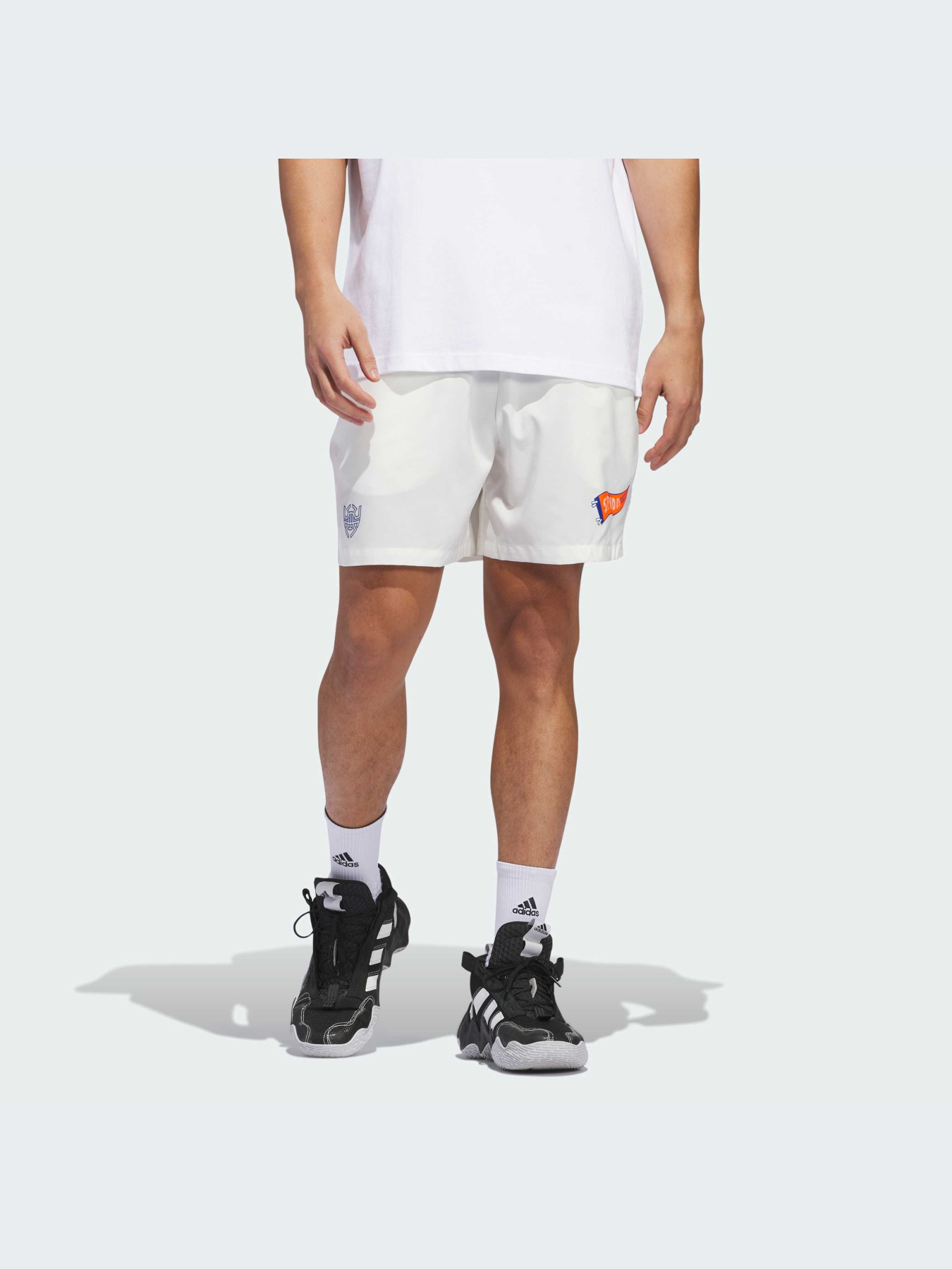 Шорты спортивные Adidas модель IR5619 Фото