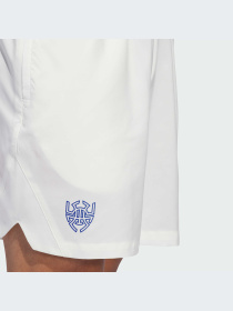 Шорты спортивные Adidas модель IR5619 Фото