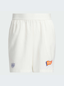 Спортивні шорти Adidas модель IR5619 Фото