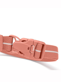 Поясная сумка Pacsafe модель 35100340 Фото