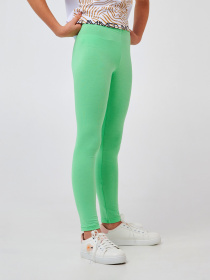 Леггинсы SMIL модель smil_115604-matnyj Фото