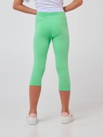 Легінси SMIL модель smil_115603-matnyj Фото