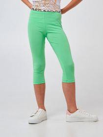 Леггинсы SMIL модель smil_115603-matnyj Фото