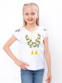 Вышитая рубашка Носи своє модель 6111-038-22-voloshki Фото