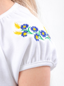 Вышитая рубашка Носи своє модель 6111-038-22-voloshki Фото