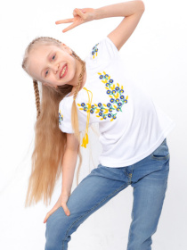 Вишита сорочка Носи своє модель 6111-038-22-voloshki Фото