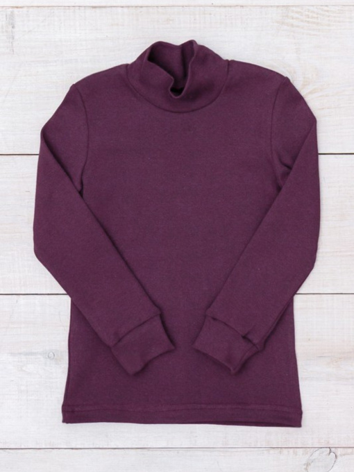 Водолазка Носи своє модель 6068-040-slivovij Фото