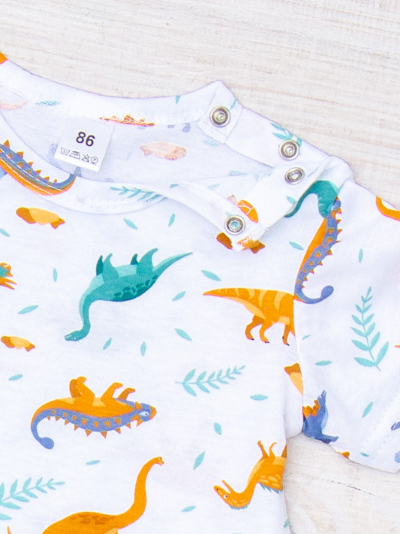 Пісочник Носи своє модель 5057-002-4-dinozavri-na-blomu Фото