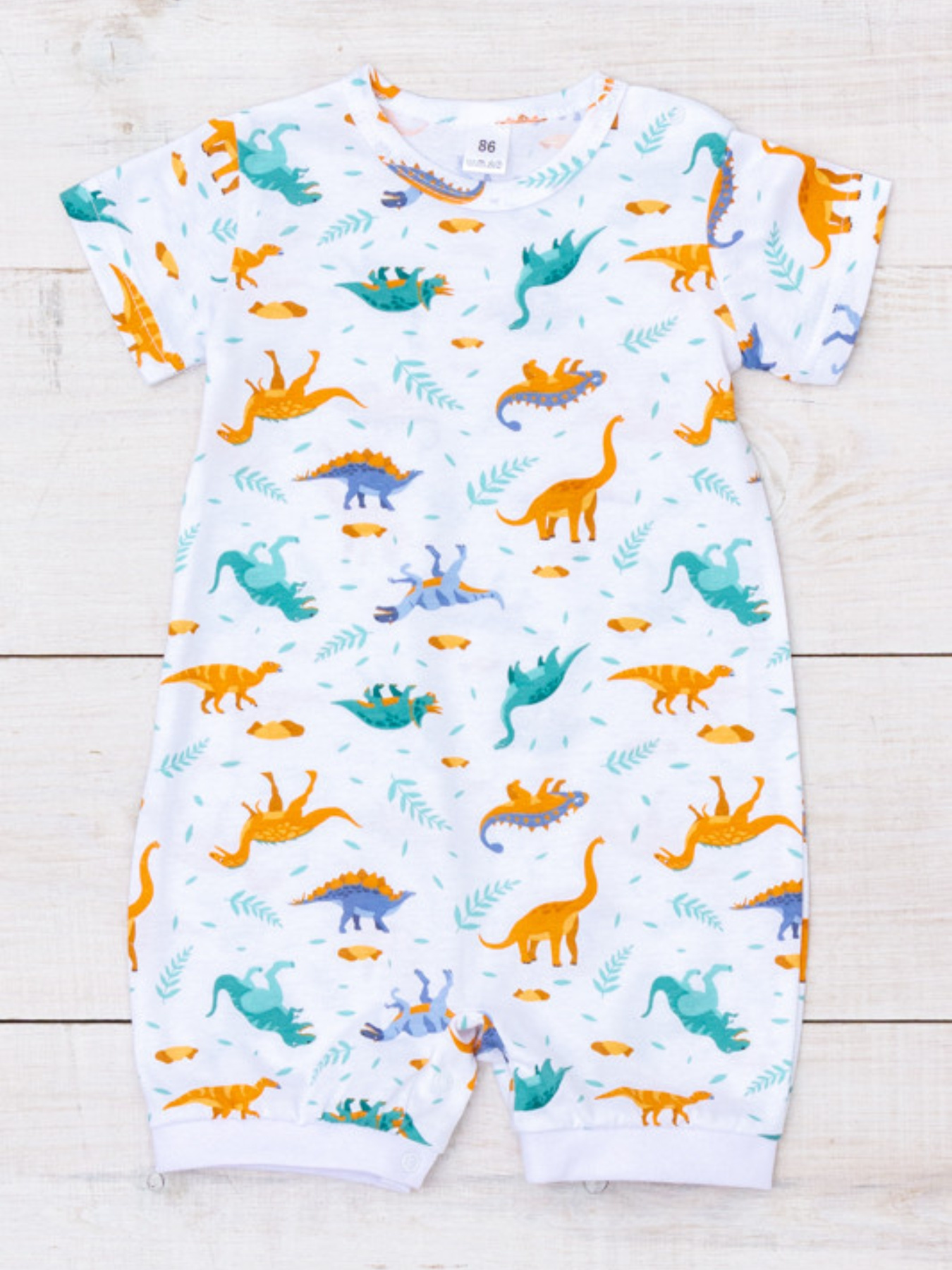 Пісочник Носи своє модель 5057-002-4-dinozavri-na-blomu Фото