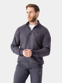 Спортивна кофта AVECS модель 50399-94 Спортивна кофта AVECS модель 50399-94 Фото