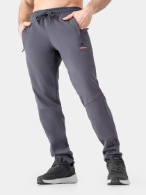 Спортивні штани AVECS модель 50404-94 Фото