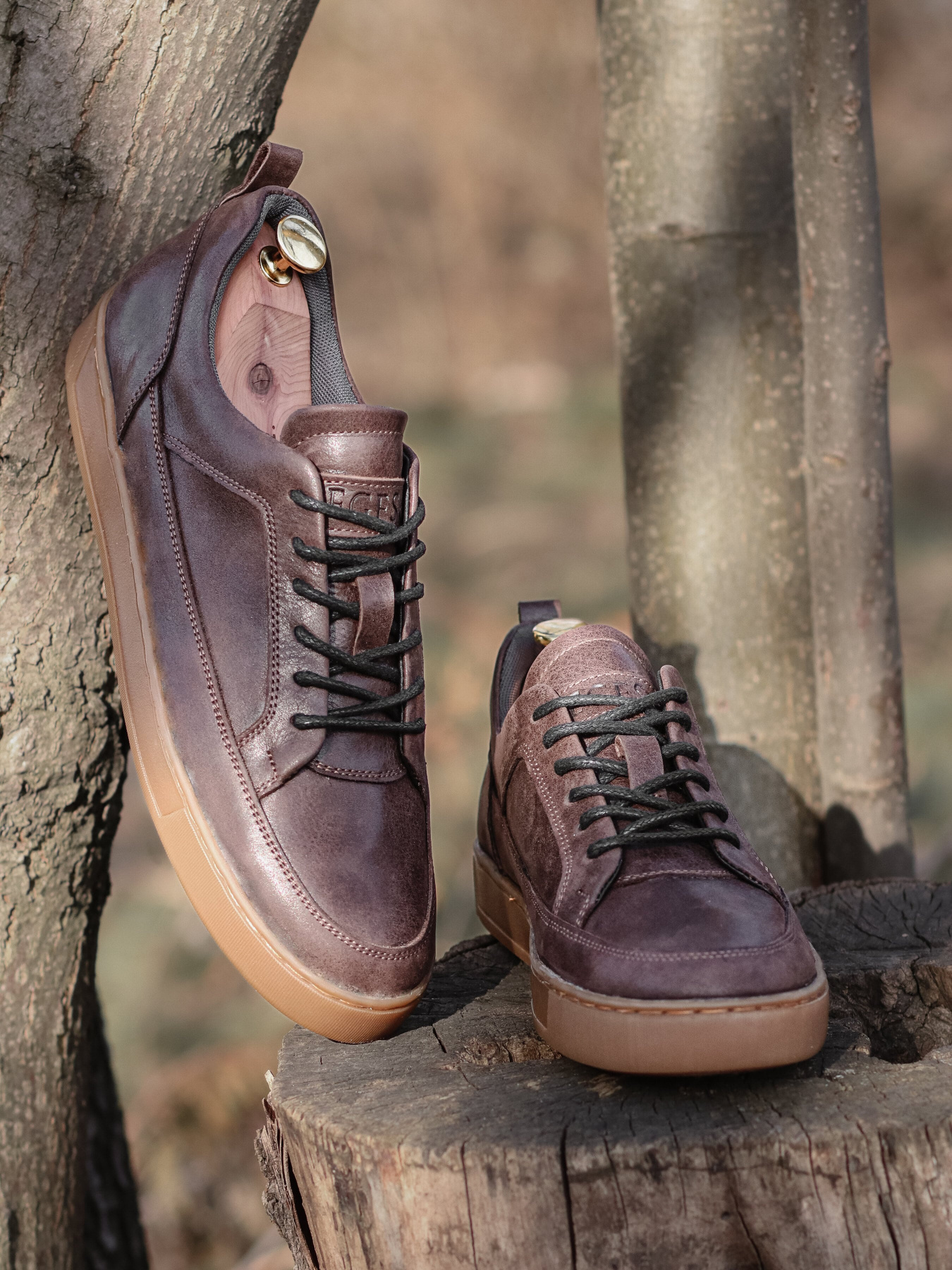 Кеды низкие Legessy модель LEEDS_COFFEE Фото