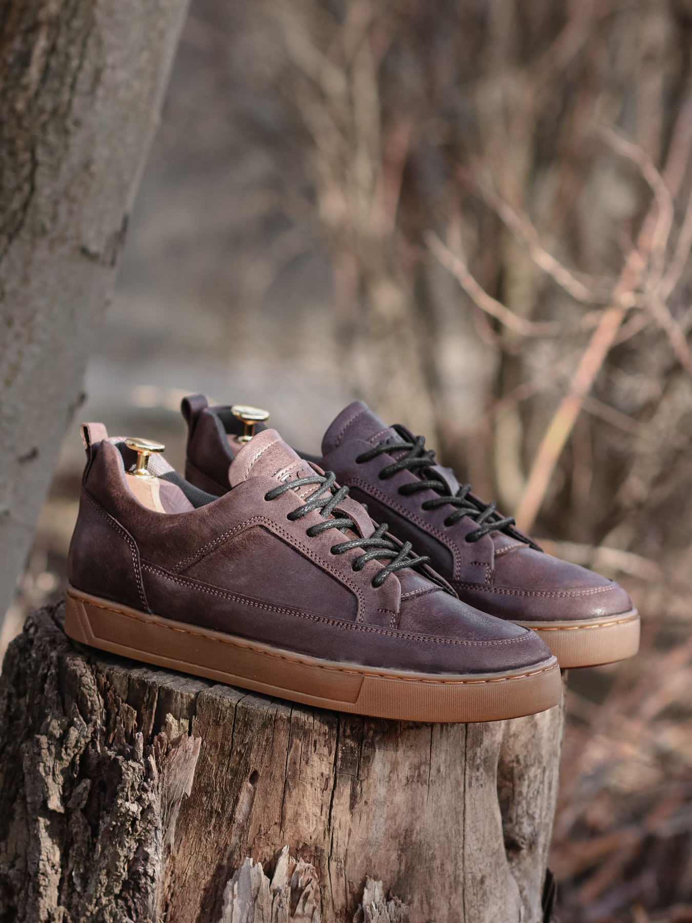 Кеды низкие Legessy модель LEEDS_COFFEE Фото