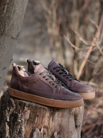 Кеды низкие Legessy модель LEEDS_COFFEE Фото