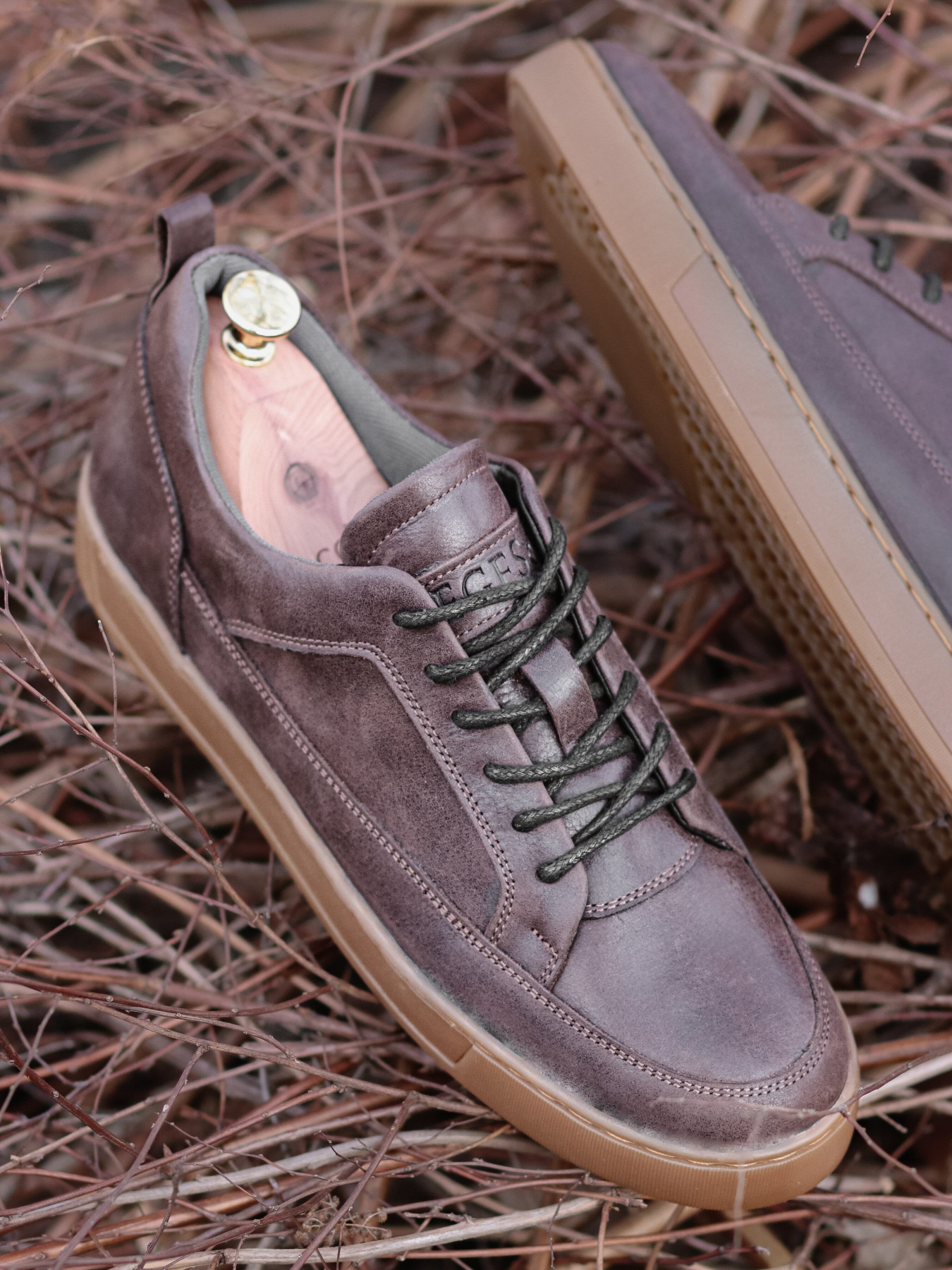 Кеды низкие Legessy модель LEEDS_COFFEE Фото