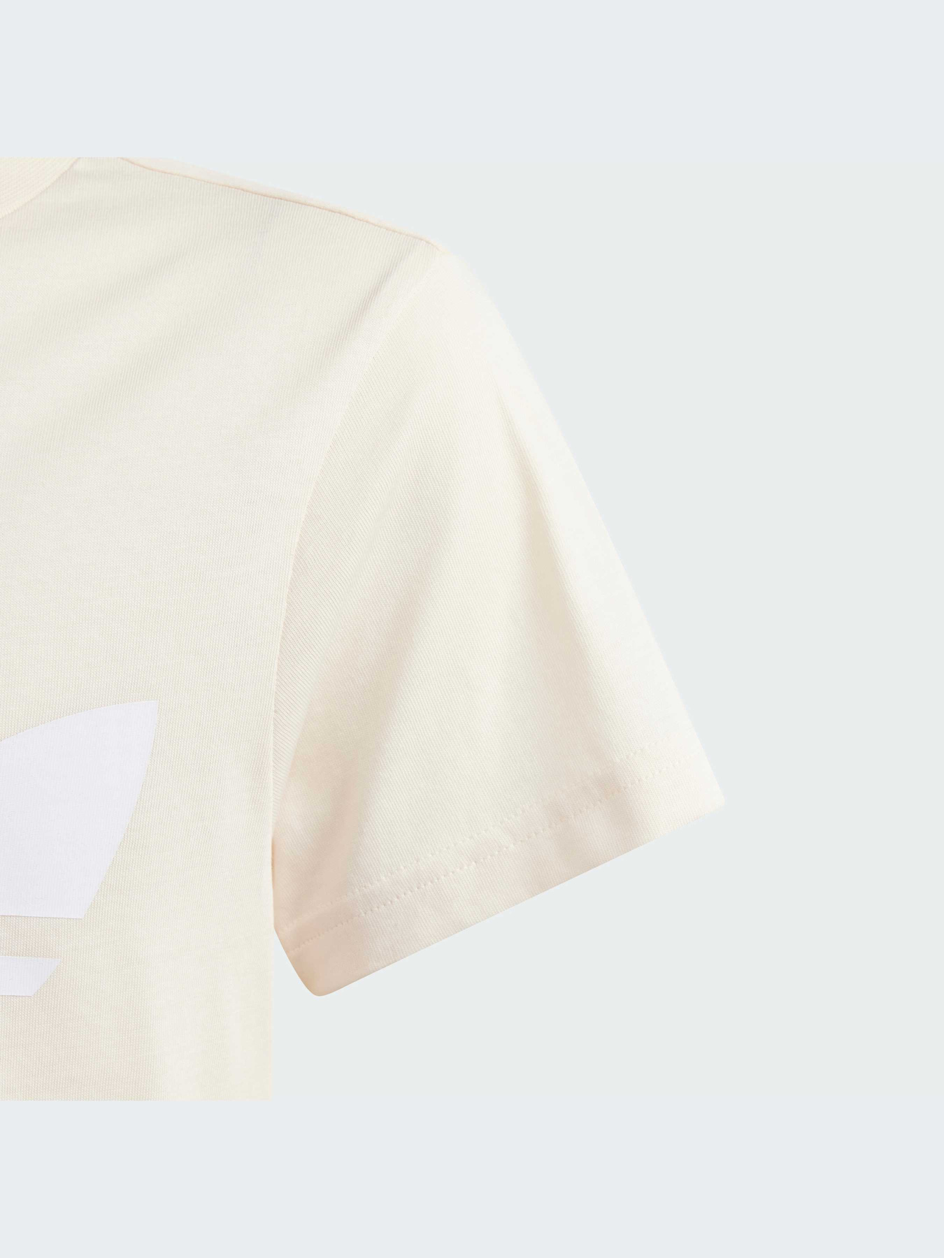 Футболка Adidas Trefoil модель IN8452 Фото