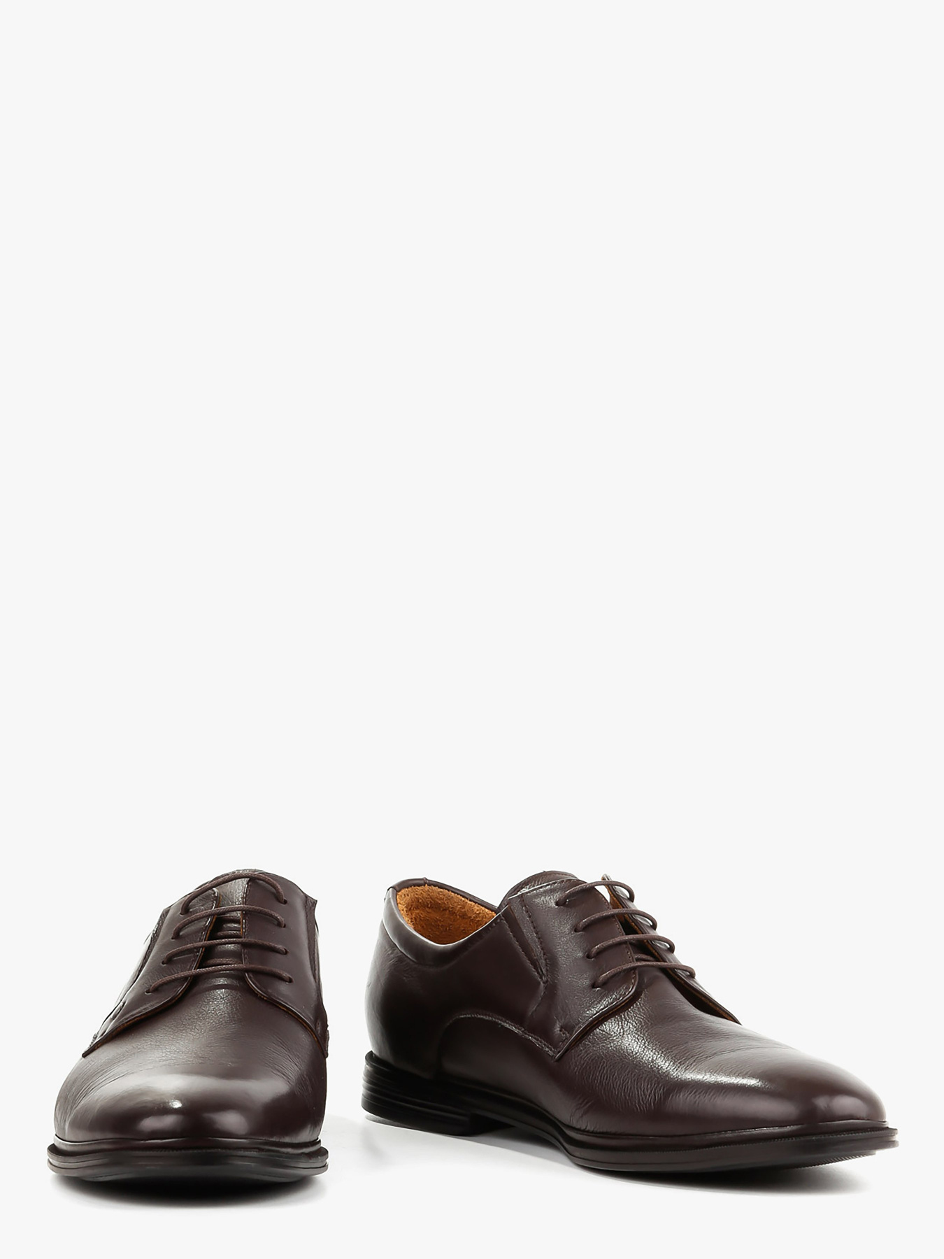 Туфли Arzoni Bazalini модель 00000017022 Фото