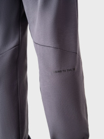 Штаны спортивные AVECS модель 50403-94 Фото