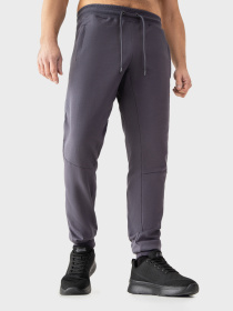 Штаны спортивные AVECS модель 50403-94 Штаны спортивные AVECS модель 50403-94 Фото