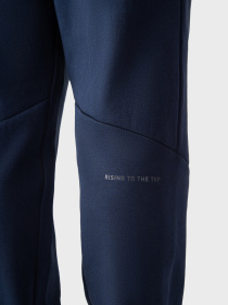 Штаны спортивные AVECS модель 50403-23 Фото