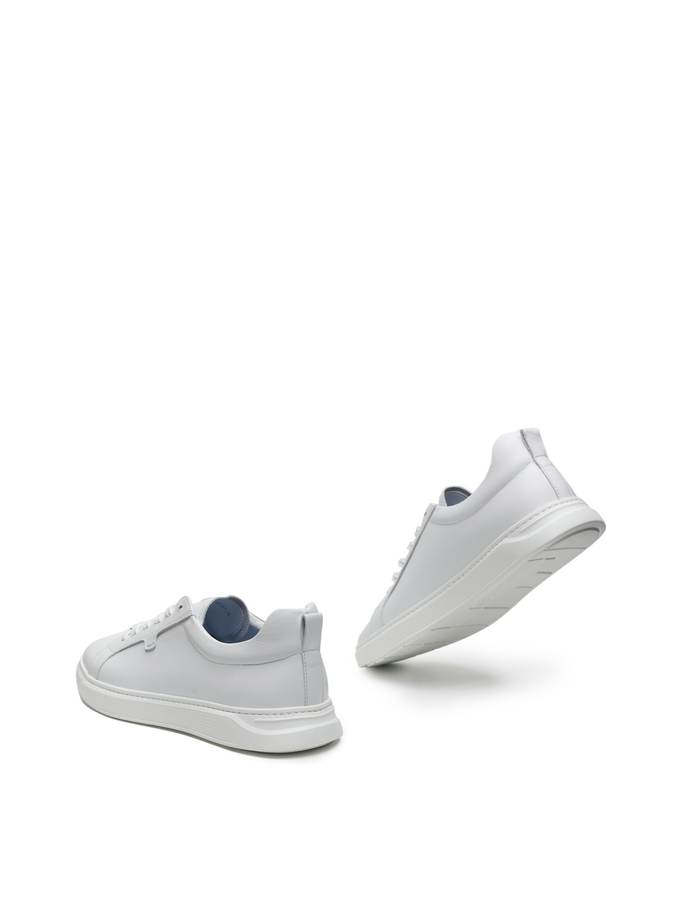 Кеди низькі Alex Bell модель 1171569 Кеди низькі Alex Bell модель 1171569 Фото