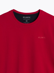 Пижама Atlantic модель NMP-370_CZE Пижама Atlantic модель NMP-370_CZE Фото