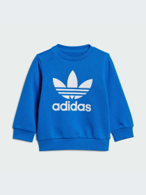 Спортивный костюм Adidas Adicolor модель IR6814 Фото