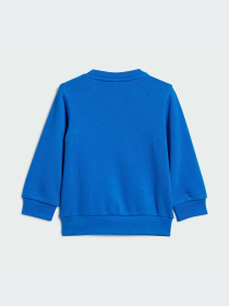 Спортивный костюм Adidas Adicolor модель IR6814 Фото