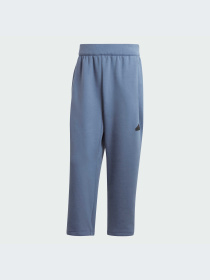 Штани Adidas ZNE модель IR5221 Фото