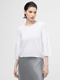 Джемпер Sewel модель JS948210000 Джемпер Sewel модель JS948210000 Фото