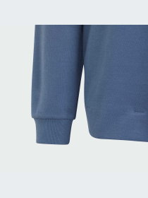 Худі Adidas модель IR8306 Фото