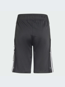 Повсякденні шорти Adidas Adicolor модель IT5463 Фото