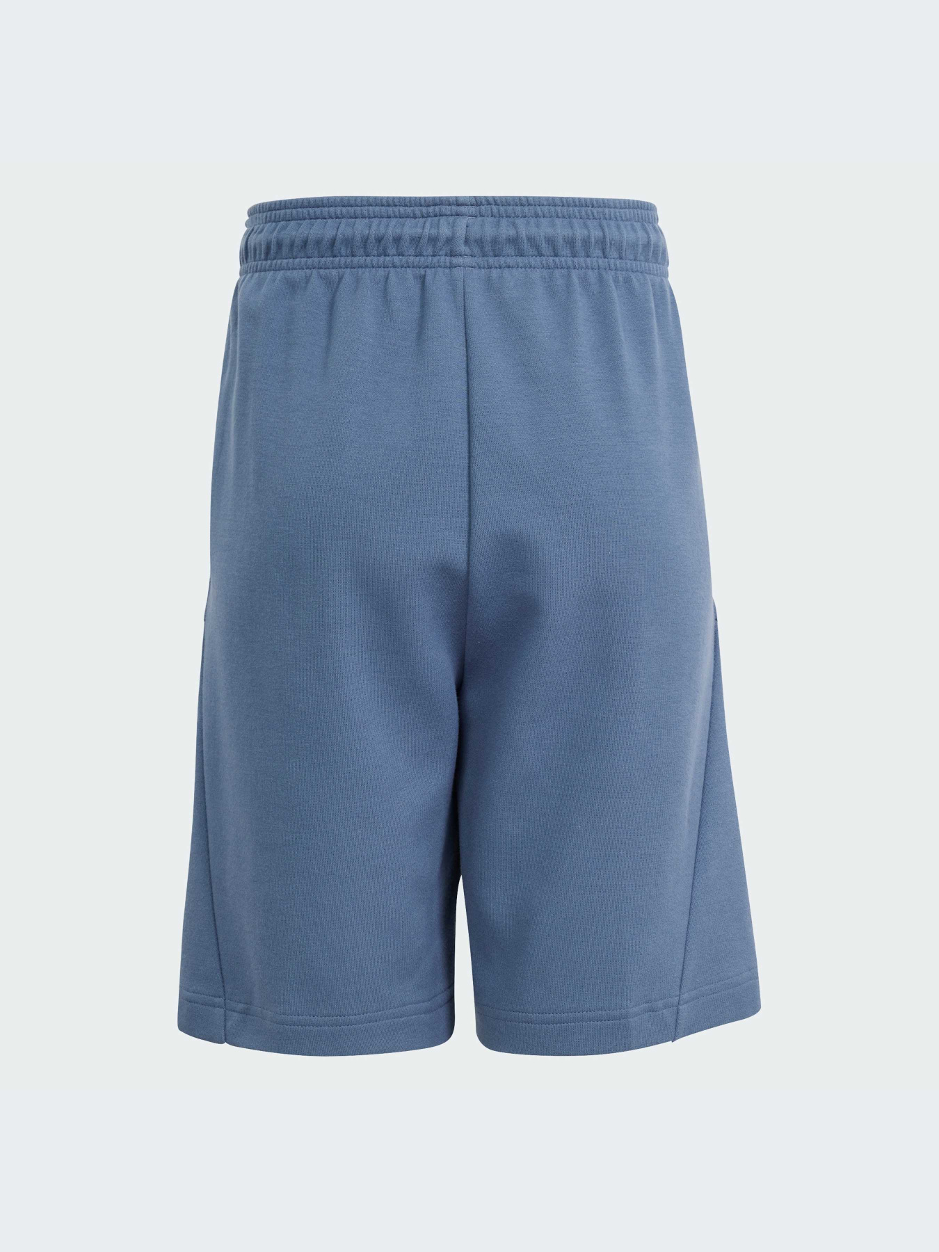 Шорти Adidas модель IS4418 Фото