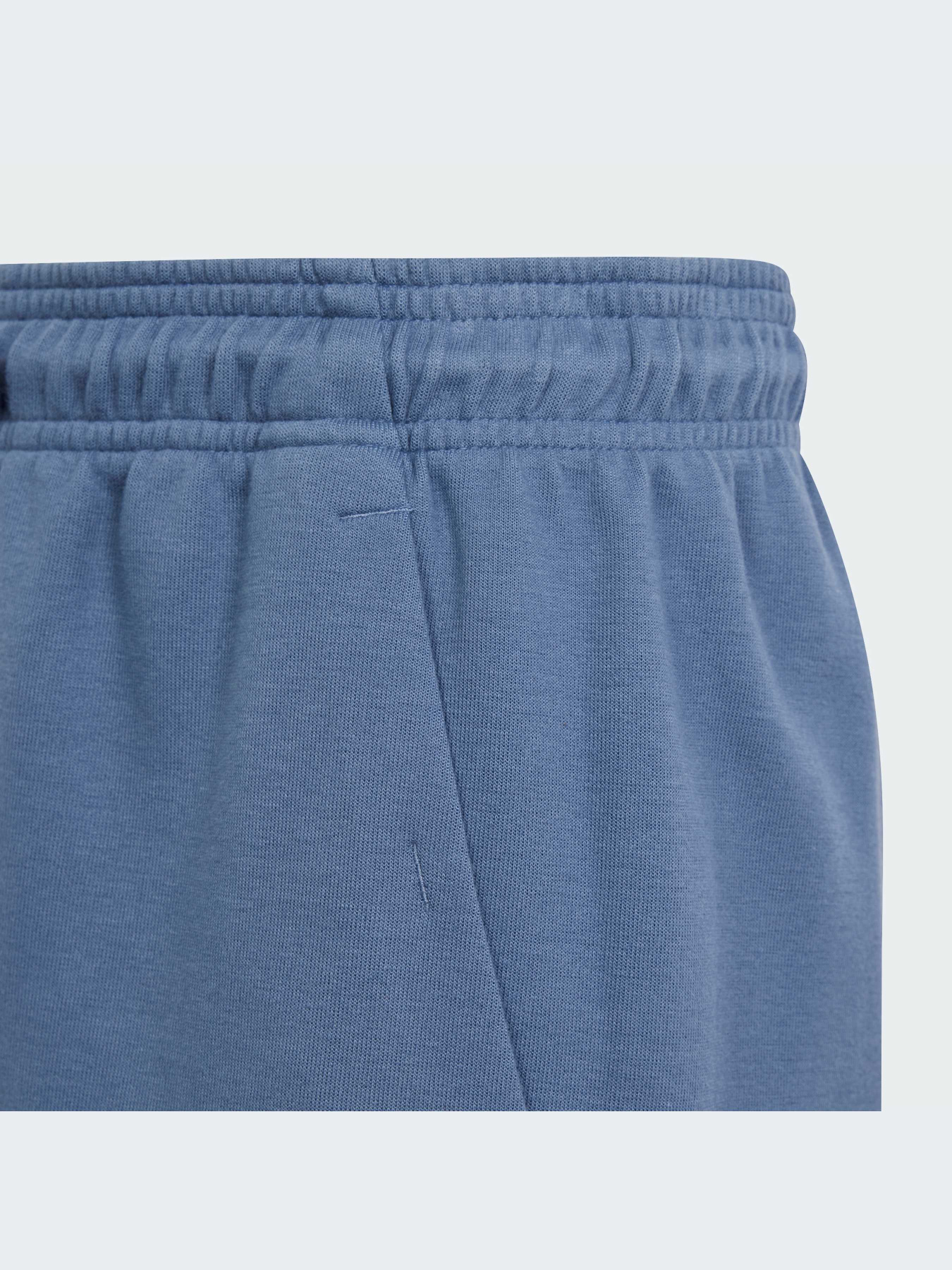 Шорти Adidas модель IS4418 Фото